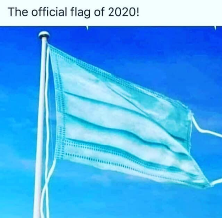 Official flag of 2020